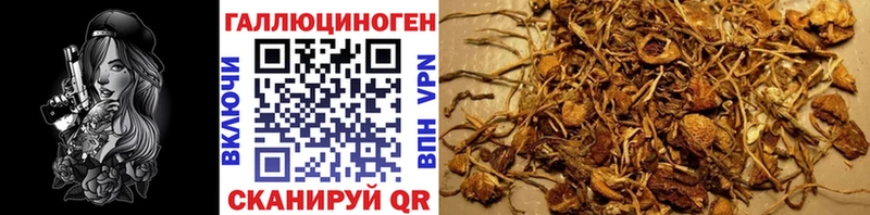 Галлюциногенные грибы мухоморы  Купить закладки  Высоковск 
